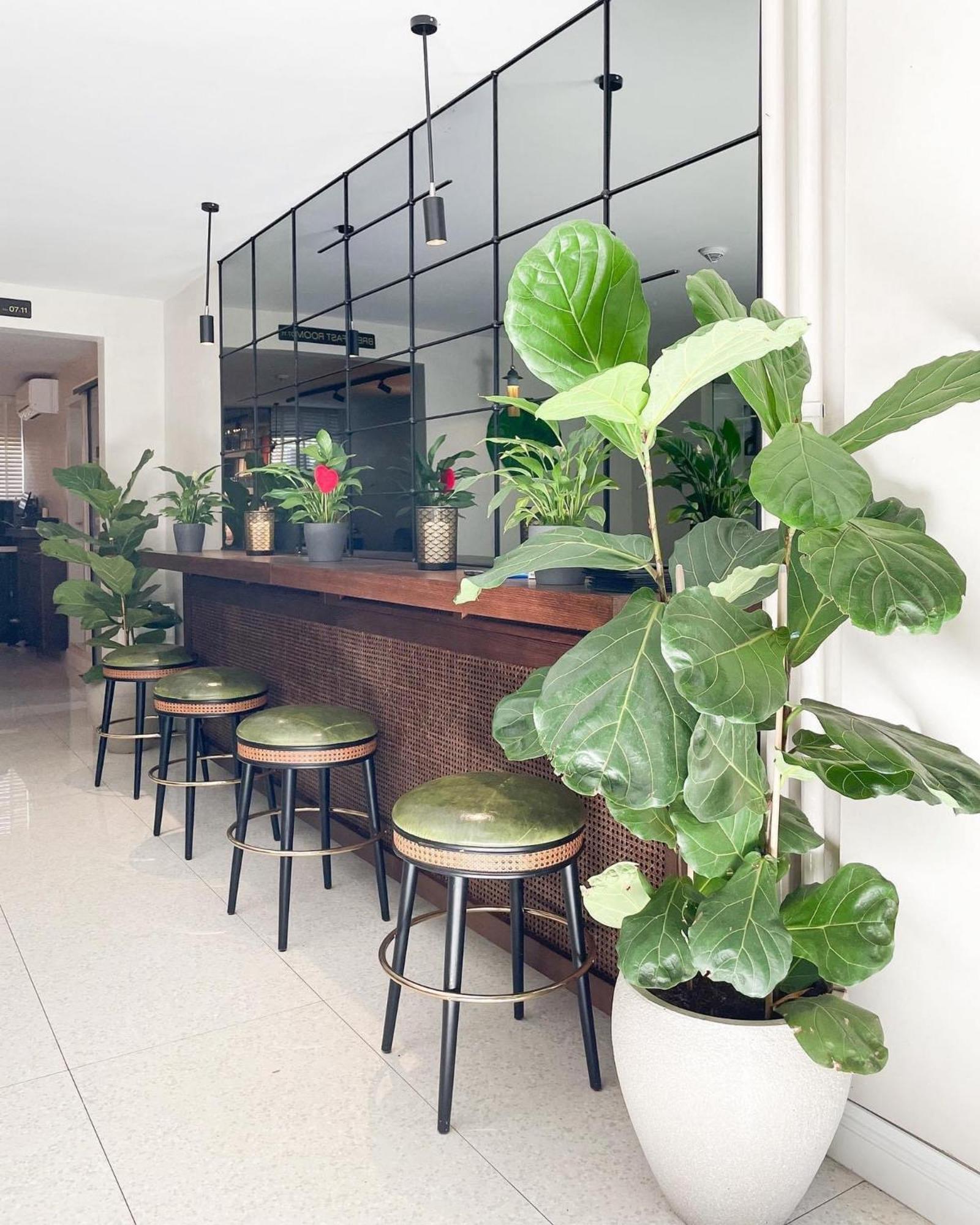 Hotel Botanica Belgrade Extérieur photo